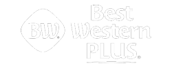 BW-plus-white-logo